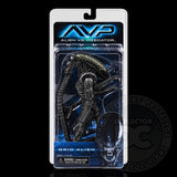 AVP Alien vs. Predator (NECA) Clamshell Figure Display Case