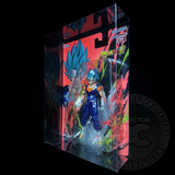 Dragonball Evolve Figure Display Case