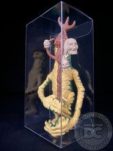 Load image into Gallery viewer, Loose Action Figure (Large) Display Case