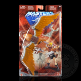 Masters Of The Universe 200x Display Cases