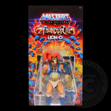 Masters Of The Universe x Thundercats Figure Display Case