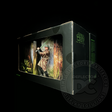 Star Wars The Black Series Heroes of Endor Figure Display