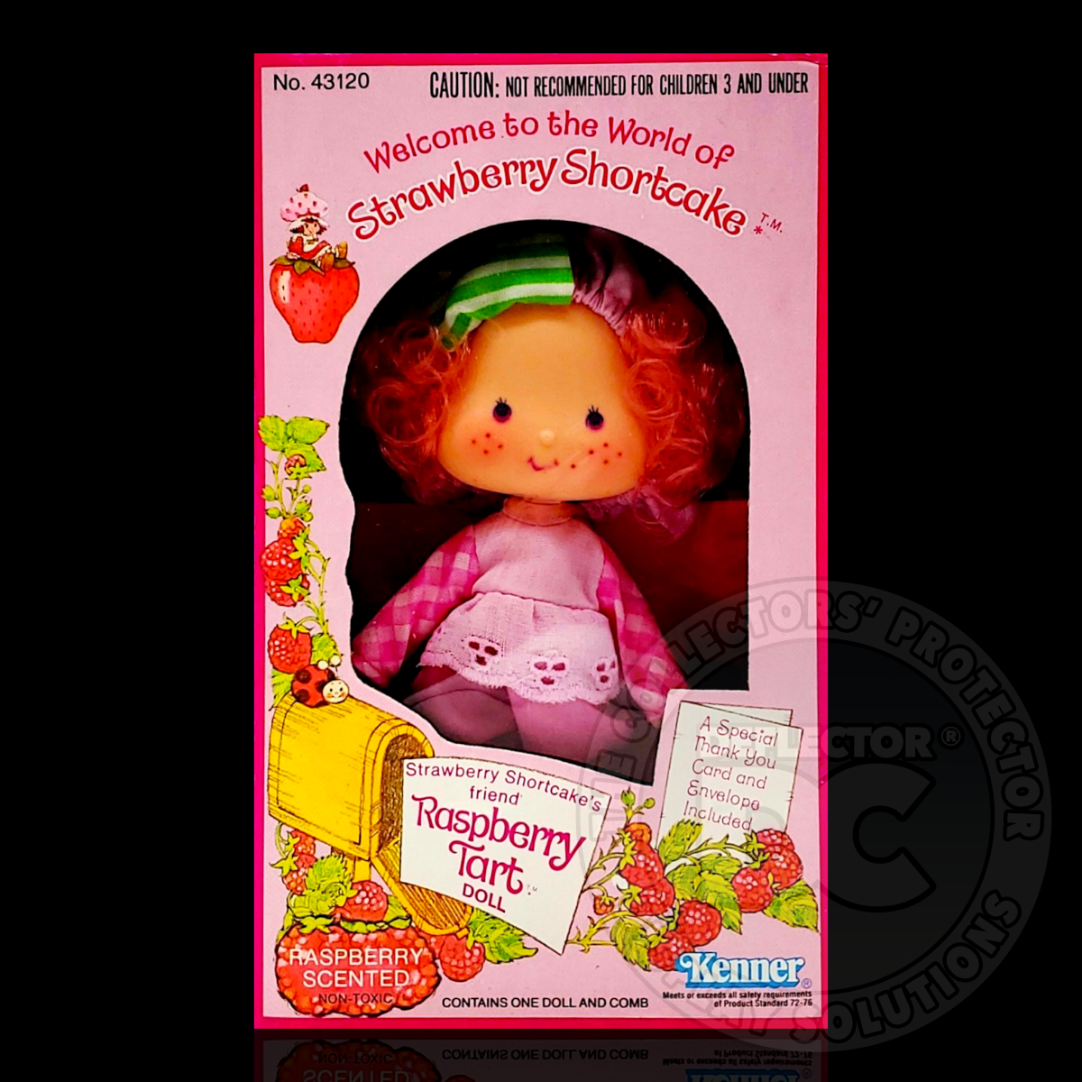 Strawberry Shortcake (1979-1980) Doll Display Case