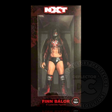 WWE 2K17 NXT Finn Balor Figure Display Case