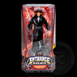 WWE Basic Entrance Greats Series 1-3 Figure Display Case